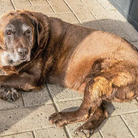 Nyaraló 4 Person In