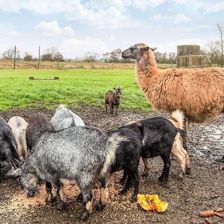 4 Person In Nyaraló *