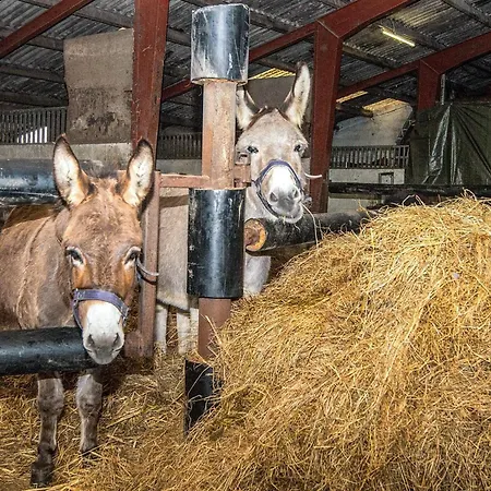 4 Person In Casa de Férias *