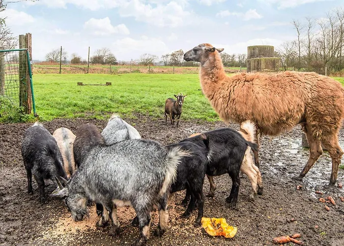4 Person In Casa de Férias *