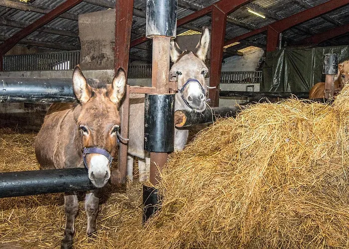 4 Person In Casa de Férias *